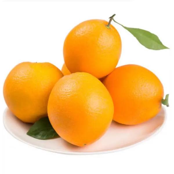 中国十大名橙雷波脐橙,识别雷波脐橙