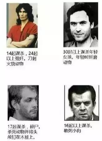 大四学生虐猫事件真相,中国留学生美国虐待案后续