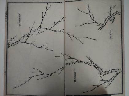 写意梅花画法技法教程视频,小写意花瓶里的梅花的画法