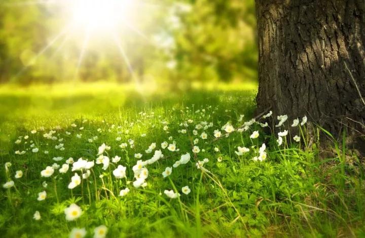 患早期肺癌感觉被全世界抛弃,肺癌是不幸中的万幸吗