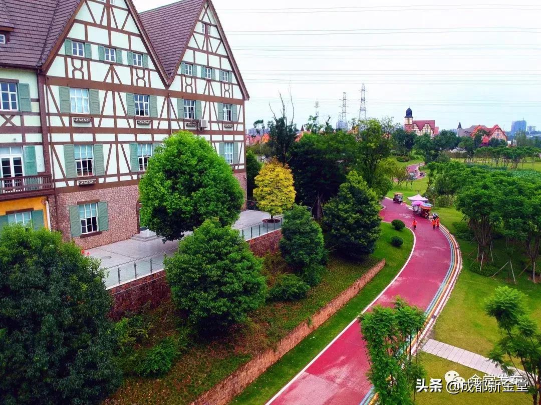 金堂人，你身边这条街已入选成都“最美街道”！