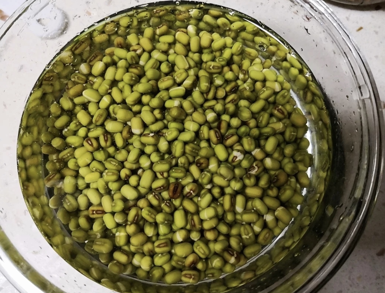 生豆芽温度高长根还是温度低长根,生的豆芽烂是怎么了