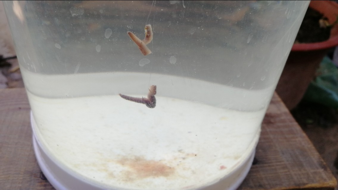 全网最详细的调漂讲解，这样要是还不理解，那我也没办法了！