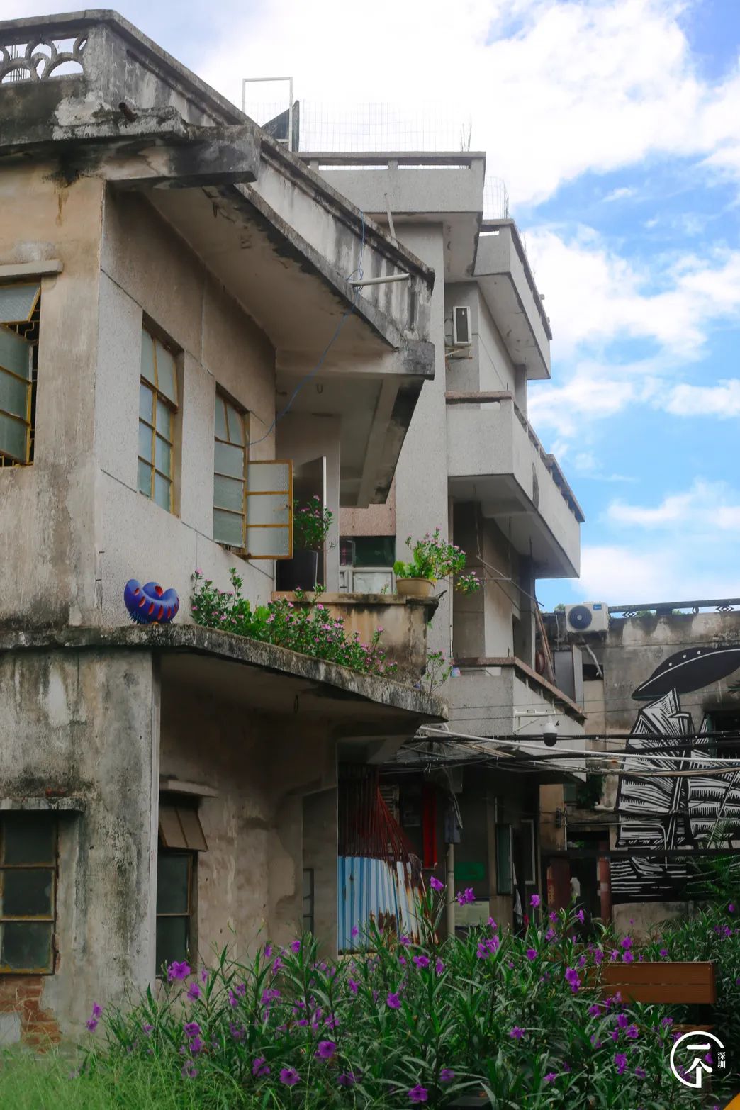 全深圳都要羡慕住在沙井的人,羡慕深圳有房的人