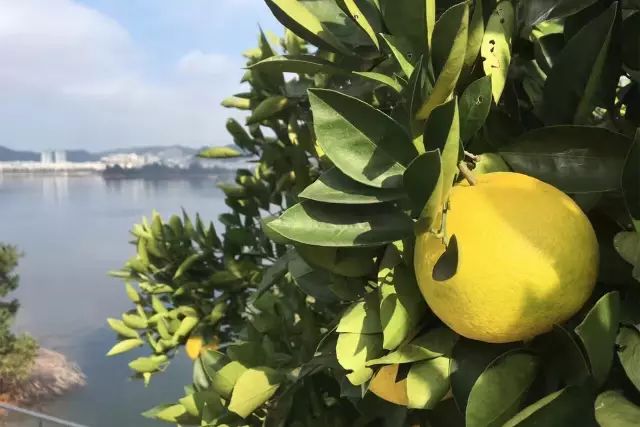 为钓鱼建房子,为了钓鱼在河边盖了房子