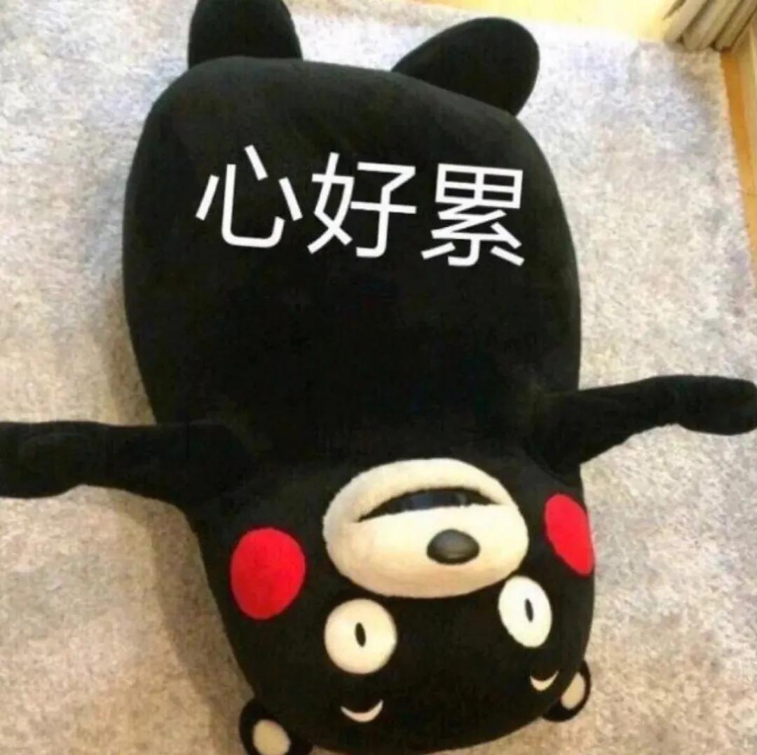 网络贷款显示提现到账实际没打款,网贷贷款五万元但是没有到账咋办