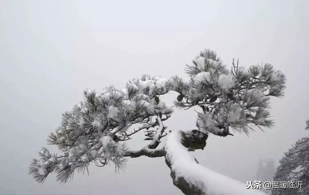 雪后的临沭小城，美得令人窒息