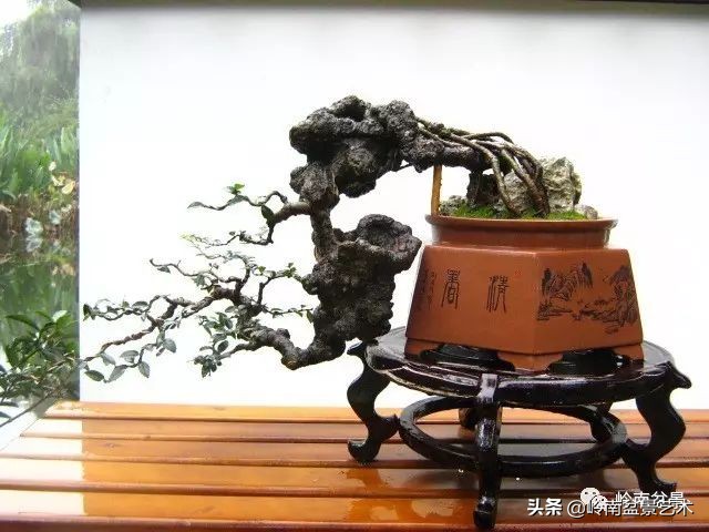 鎮礀缁濆閫㈢敓,鎮礀鐩嗘櫙澶у叏