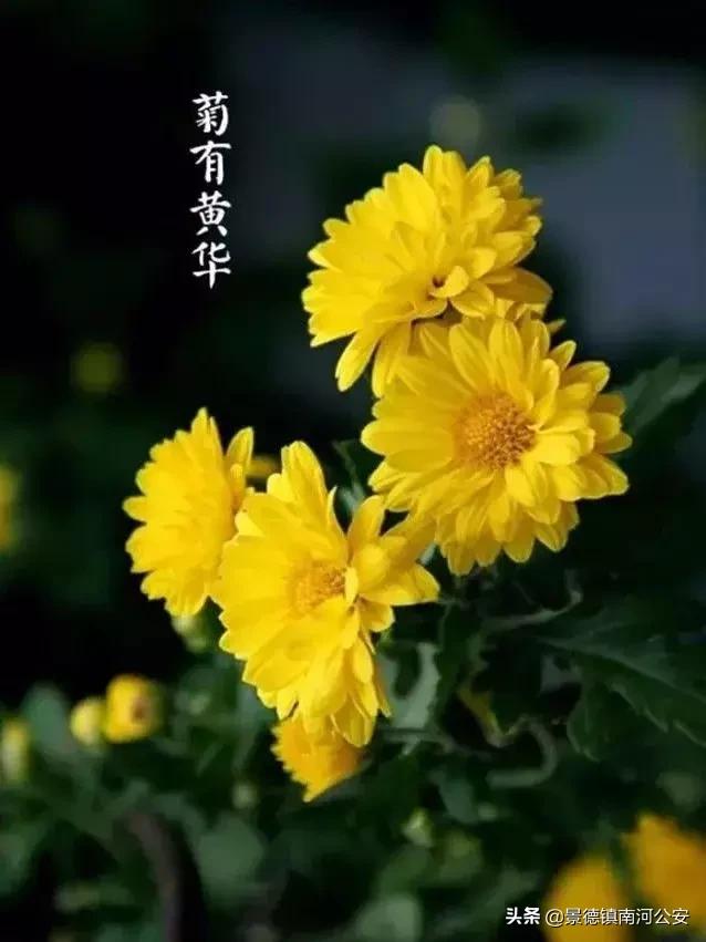 诗词丨33首名作，尽现大唐荣耀289年