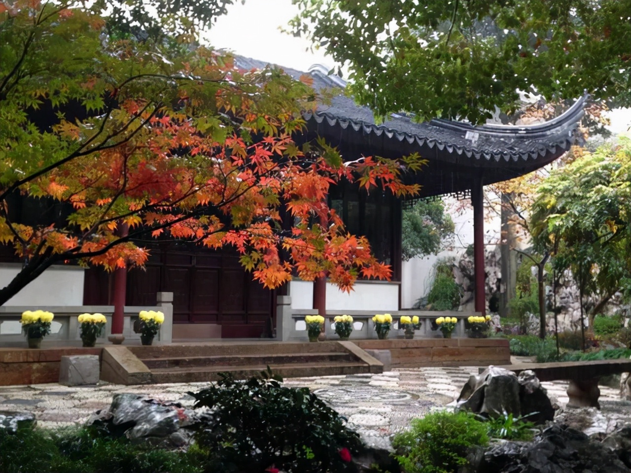 苏州北半园，一座雅致的江南小院