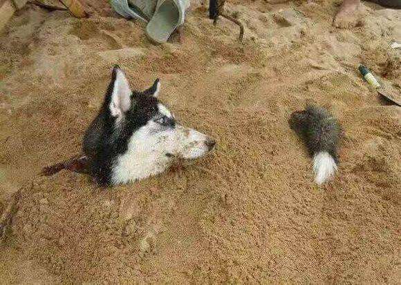 秦朝十大刑罚中最残忍的刑罚,秦朝十大惨无人道的刑法