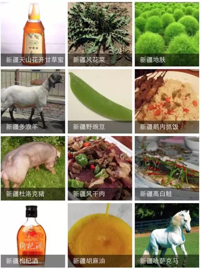 谁整理的新疆特产太全了,新疆特产满疆骆驼奶贝