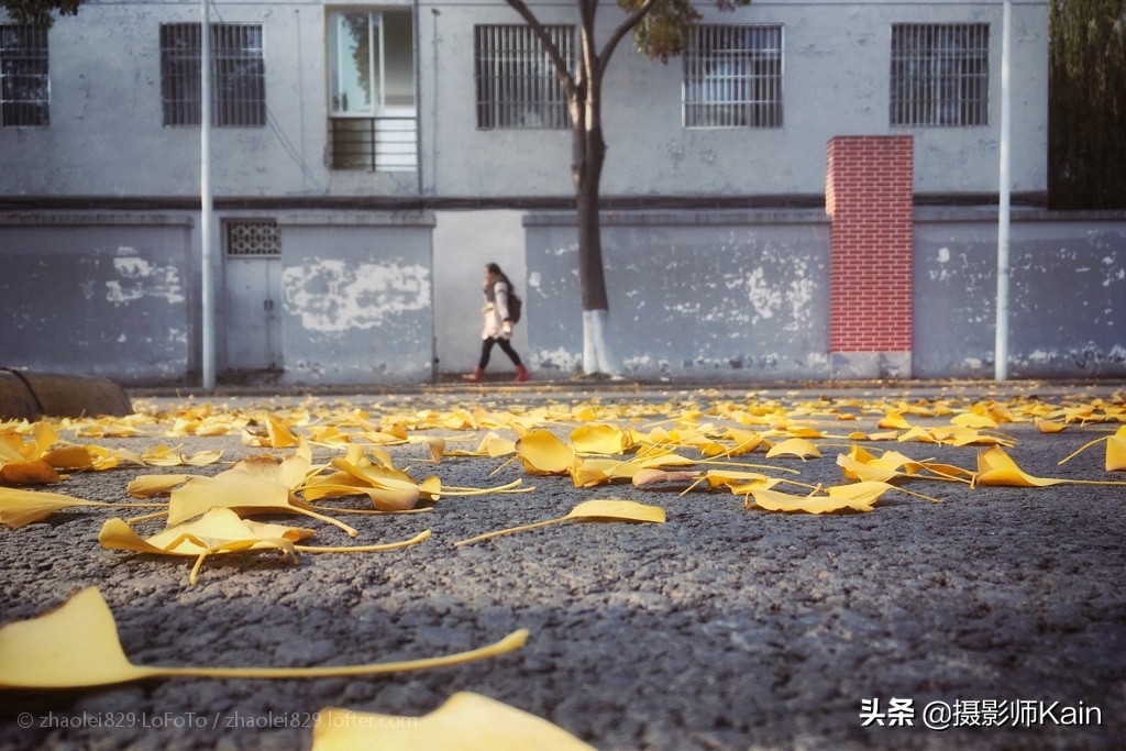 在平凡的场景中记录闪光的瞬间——专访摄影师zhaolei829