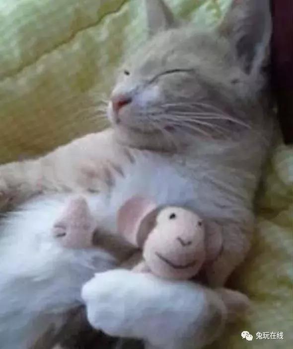 如果你的生命只剩5秒你会做什么,如果只剩下5秒时间你会做什么