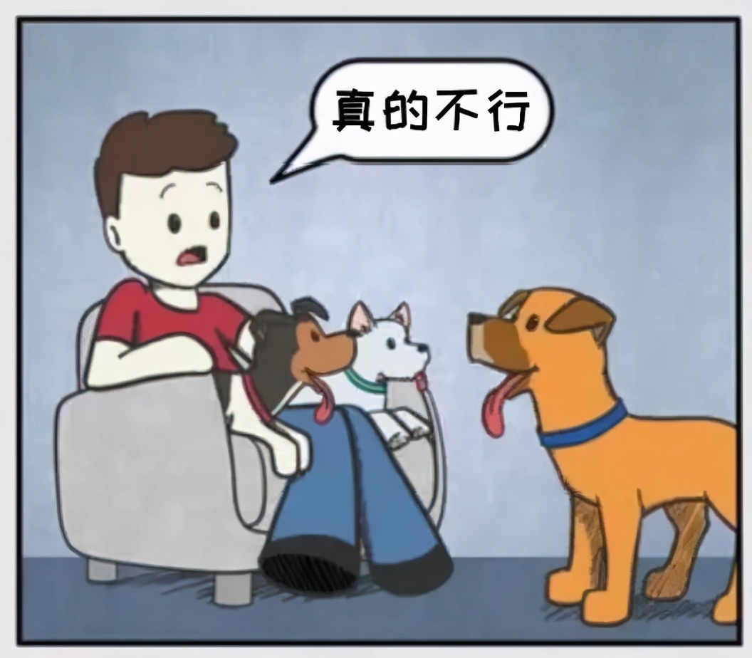 铲屎官和狗子的漫画,铲屎官和狗子们漫画