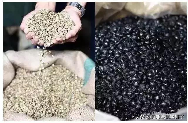 新加坡咖啡好吗,新加坡的鄙视链