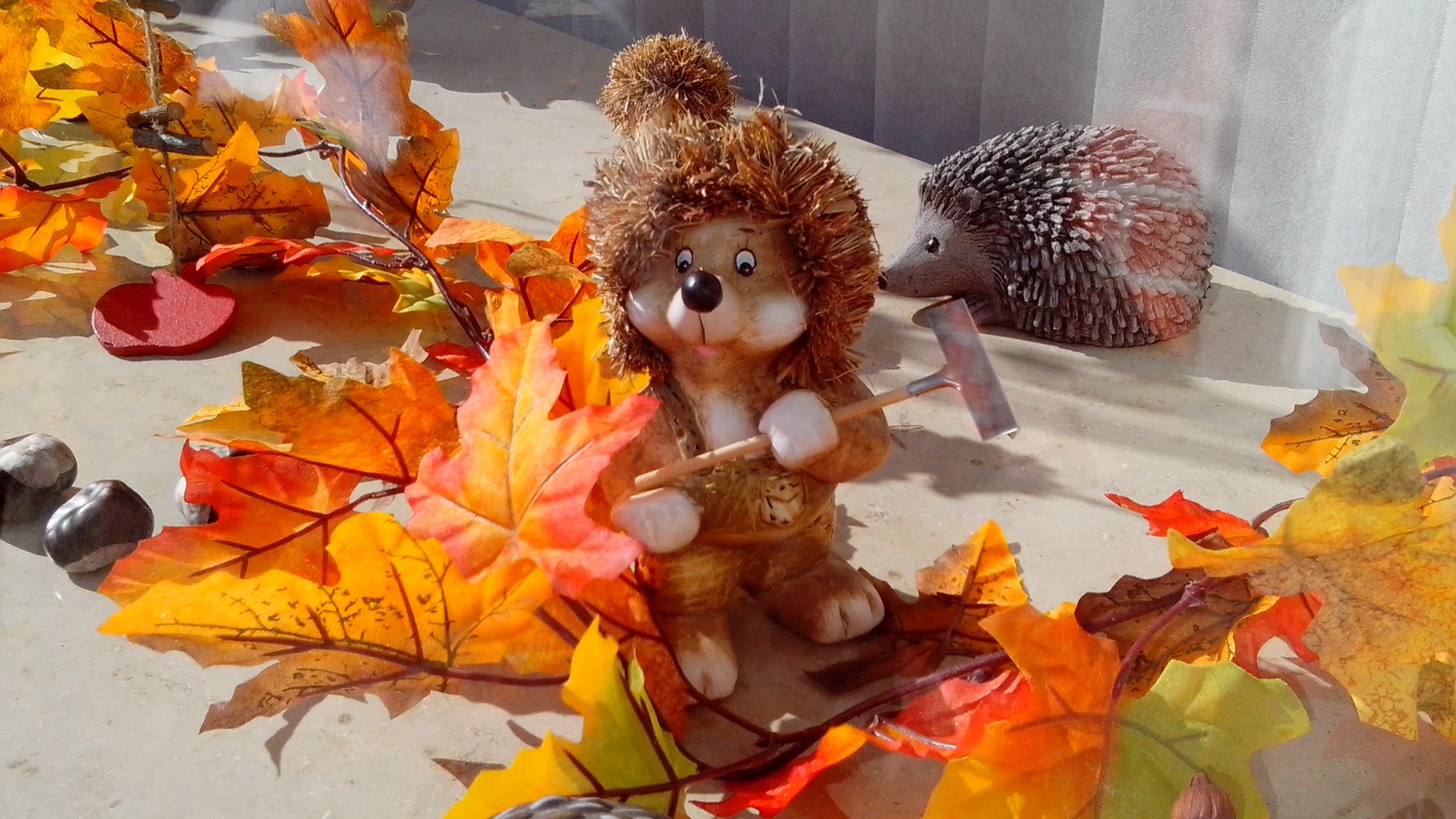 德国男人谨慎又开放，哪是真，哪是假，你怎么看？