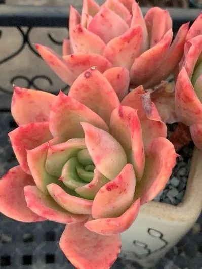 禁足的日子收获颇多,禁足