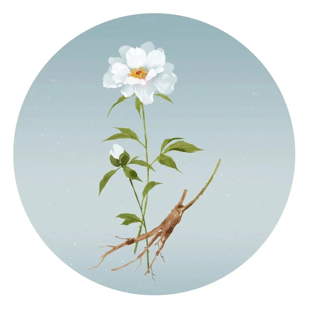 安阳圣玛月子中心月嫂工资多少,家政月嫂工作门槛低