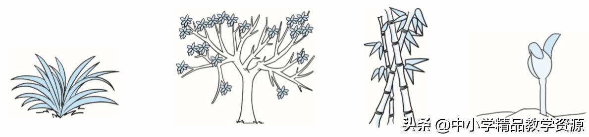 部编版小学五年级语文上册检测卷,部编版五年级上册语文单元练习卷