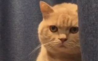 一个不靠谱的猎头,boss直聘猎头靠不靠谱