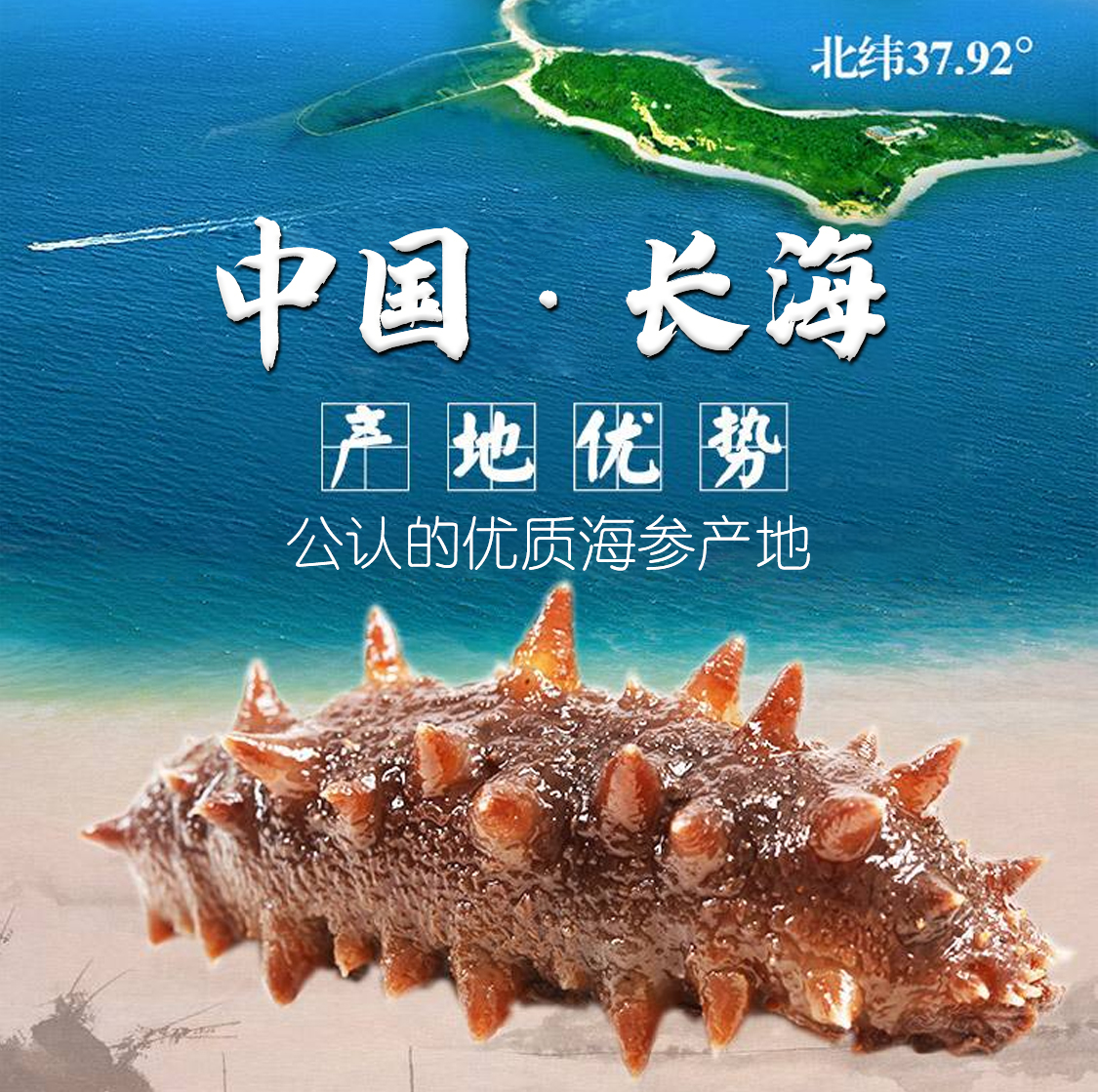 最有营养的海参是哪一种,哪几种海参可以直接食用