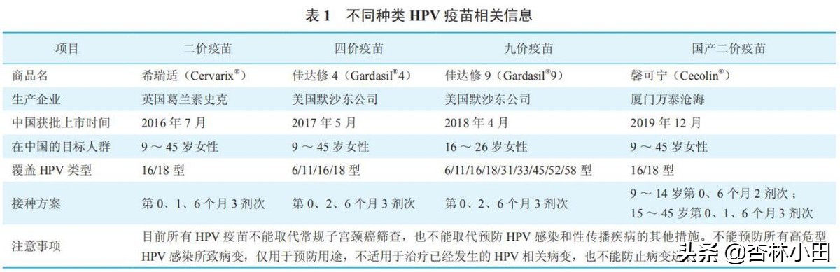 hpv宫颈癌Tct检查有啥注意事项,宫颈癌hpv
