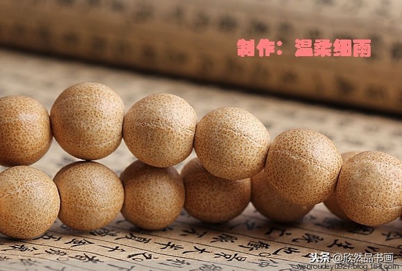 菩提子种类全图解,菩提子的种类全解图