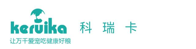 纯种萨摩耶犬特征,纯种萨摩耶的特征