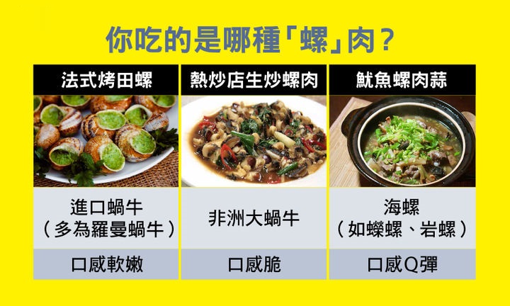 非洲野味入侵全球:在这种巨型蜗牛面前,中国吃货根本拽不起来