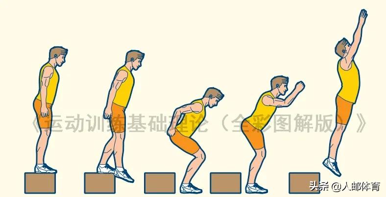 快速伸缩复合训练原地起跳,快速伸缩复合训练有哪些