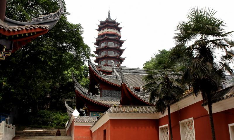 重庆附近公园免费景点推荐一下,重庆主城区适合小孩玩的公园