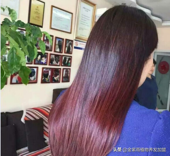 金紫雨植物染发养发连锁怎么加盟,金紫雨养发馆加盟官方网站