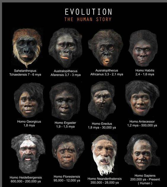 阴毛、腋毛和头发，人类在进化中为何保留了这几个部位的毛发？