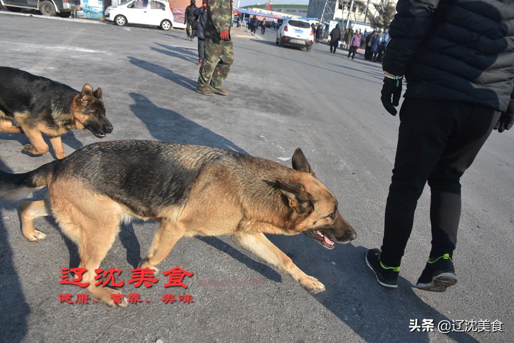 冬天延吉早市哪里最好,冬天延吉早市