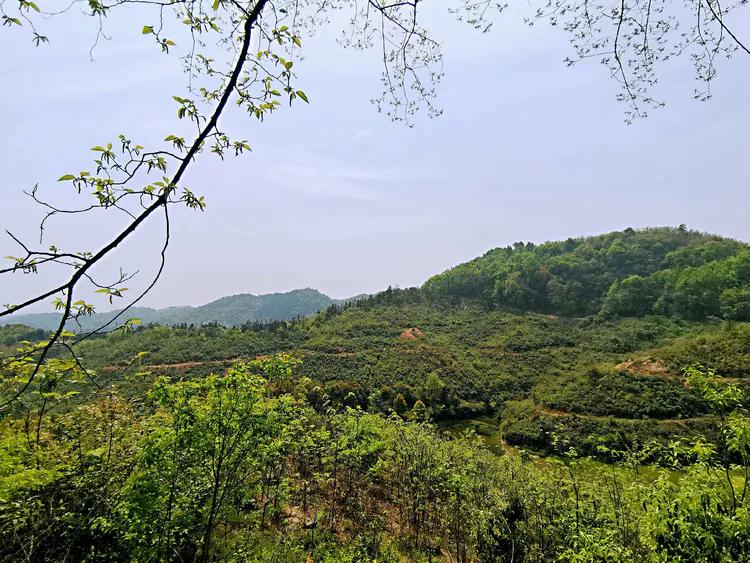 华容山水苑别墅100万,华容秀丽山水风景区