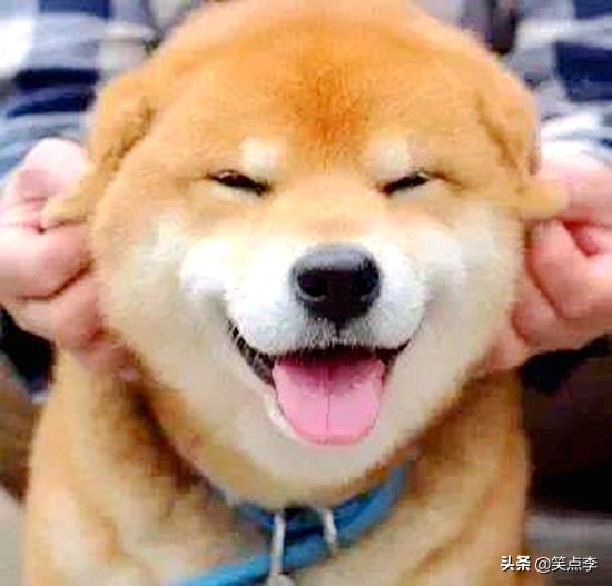 搞笑幽默小故事你笑了吗,盘点那些搞笑笑话和搞笑故事