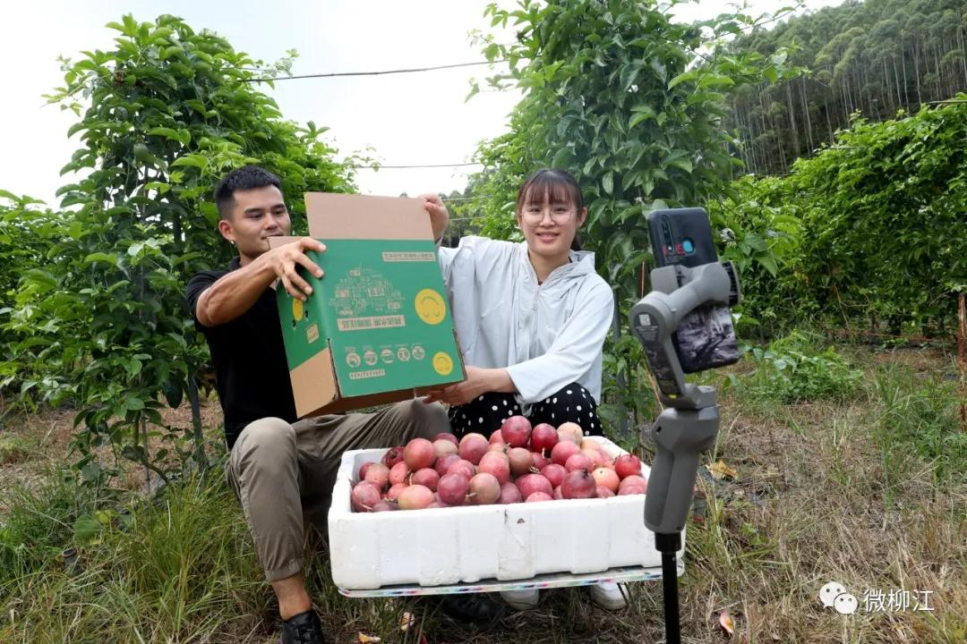 直播卖水果一年收入几百万,直播卖水果一年200万