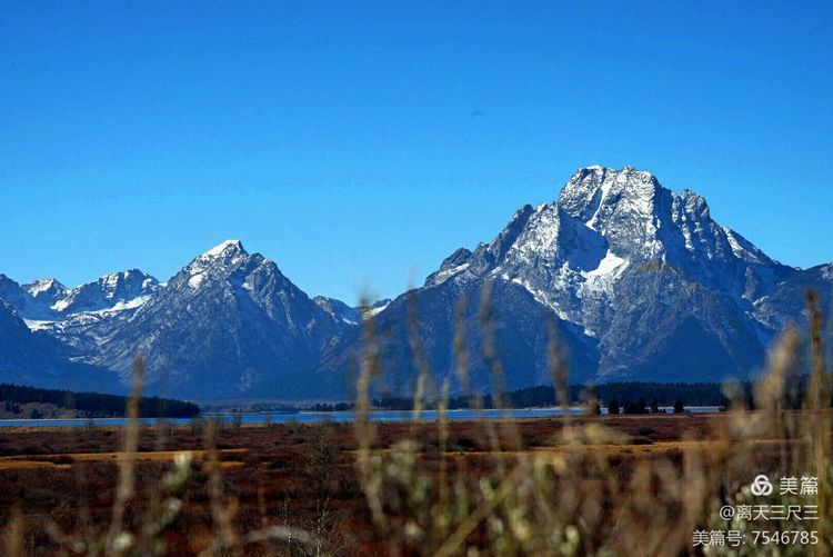 鍖楃編鏋儏闃虫柊,鍖楃編鏋儏鍥剧墖