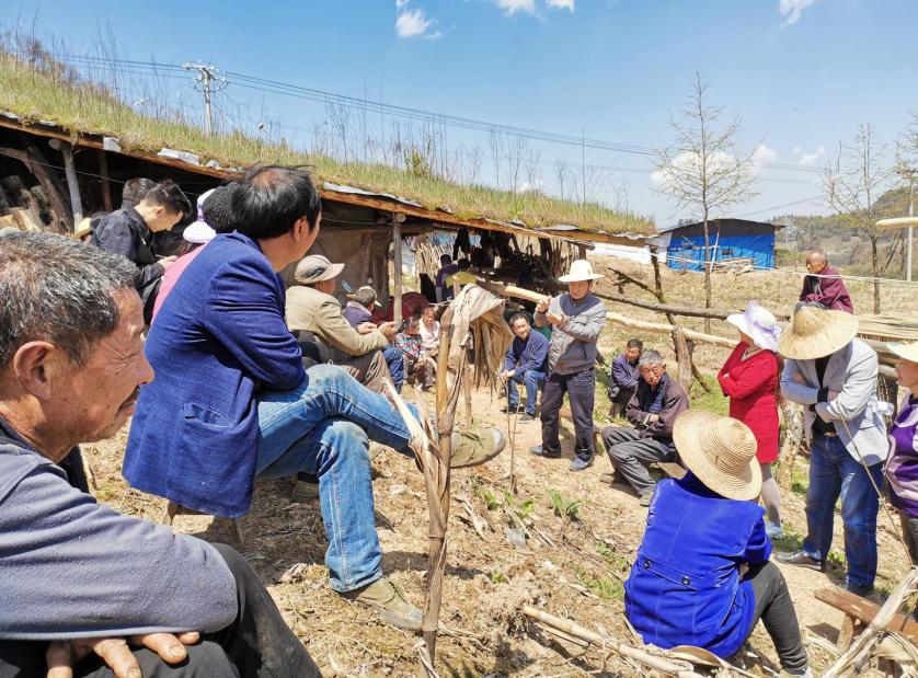 重庆市城口县鸡鸣乡金岩村,鸡鸣乡金岩村最新规划