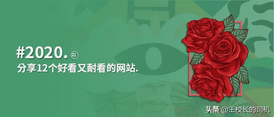 这12个网站，怎么可以这么好看