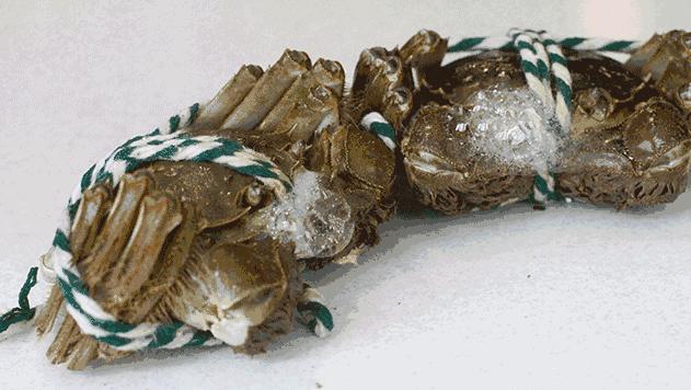 大闸蟹有的论个卖有的论斤卖,大闸蟹按斤称还是按只买划算