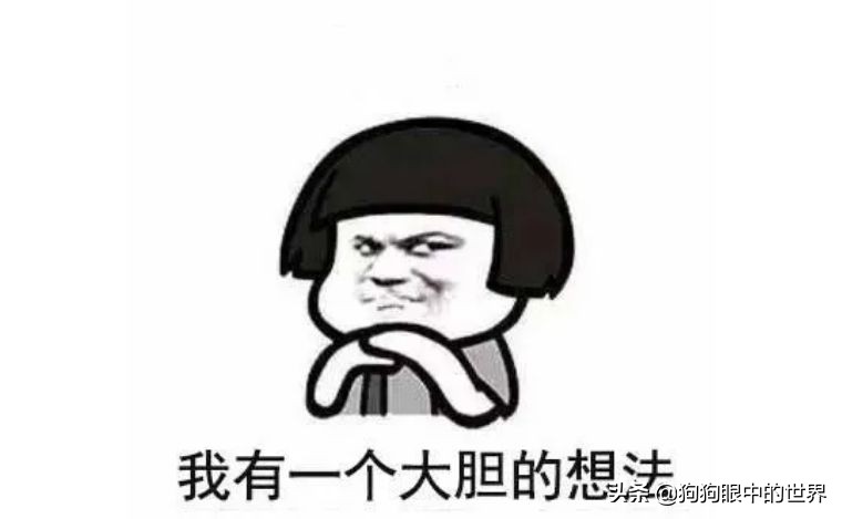 狗狗感冒好了没几天又感冒了,狗狗感冒好了之后还是没精神