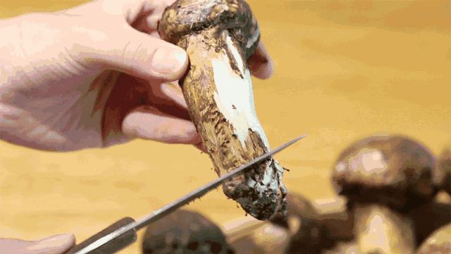 雅江松茸9月份还有卖吗,雅江松茸怎么购买