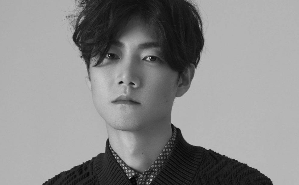 歌手历届踢馆歌手名单,我是歌手男低音王晰踢馆歌曲