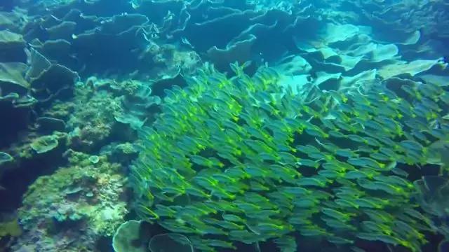 有个岛国，比美马代，比海南便宜，机票500起！