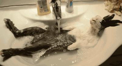 泡什么可以降血糖,泡澡降血压吗