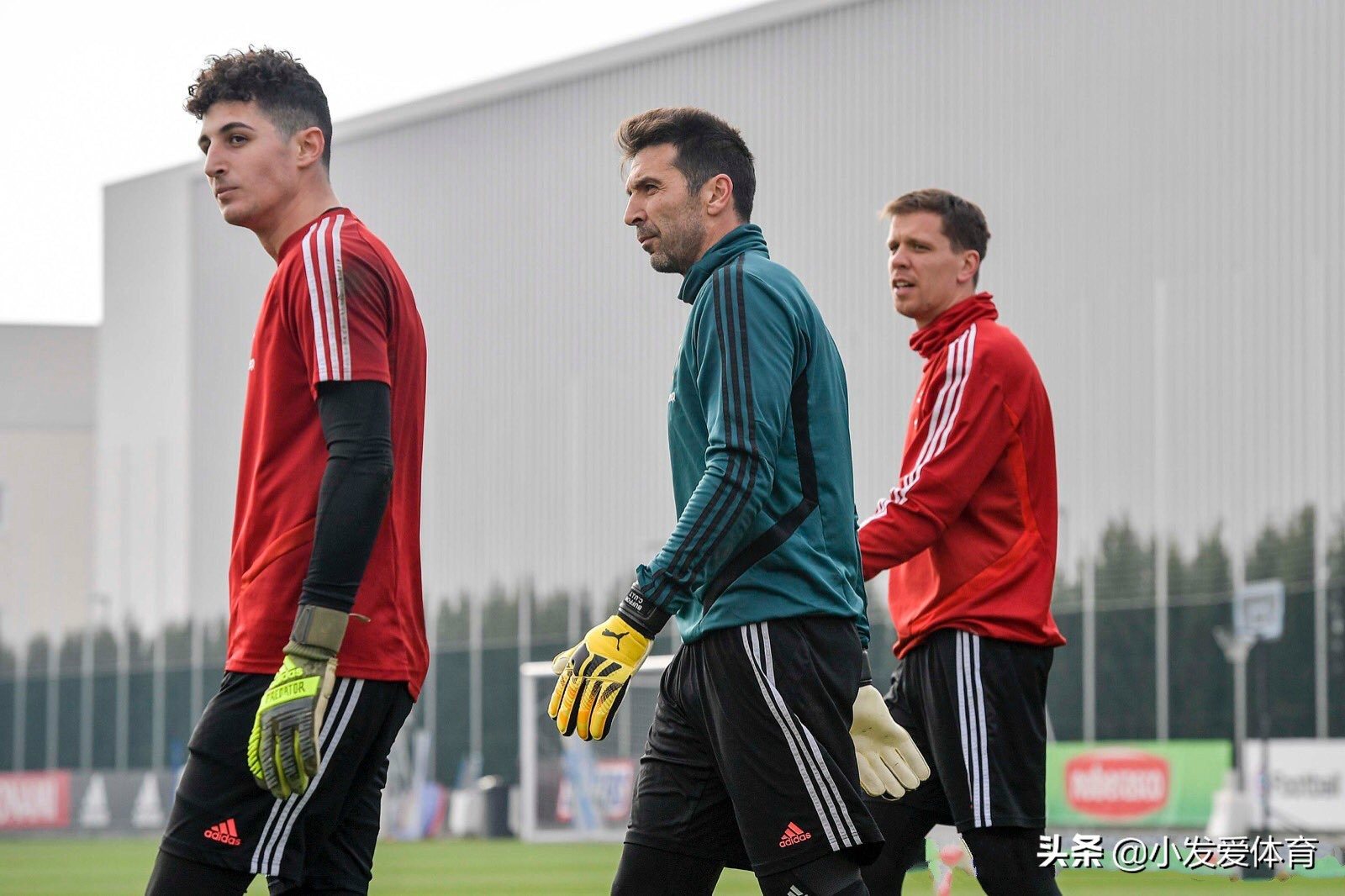 布冯传奇生涯配得上一座欧冠奖杯,布冯续约