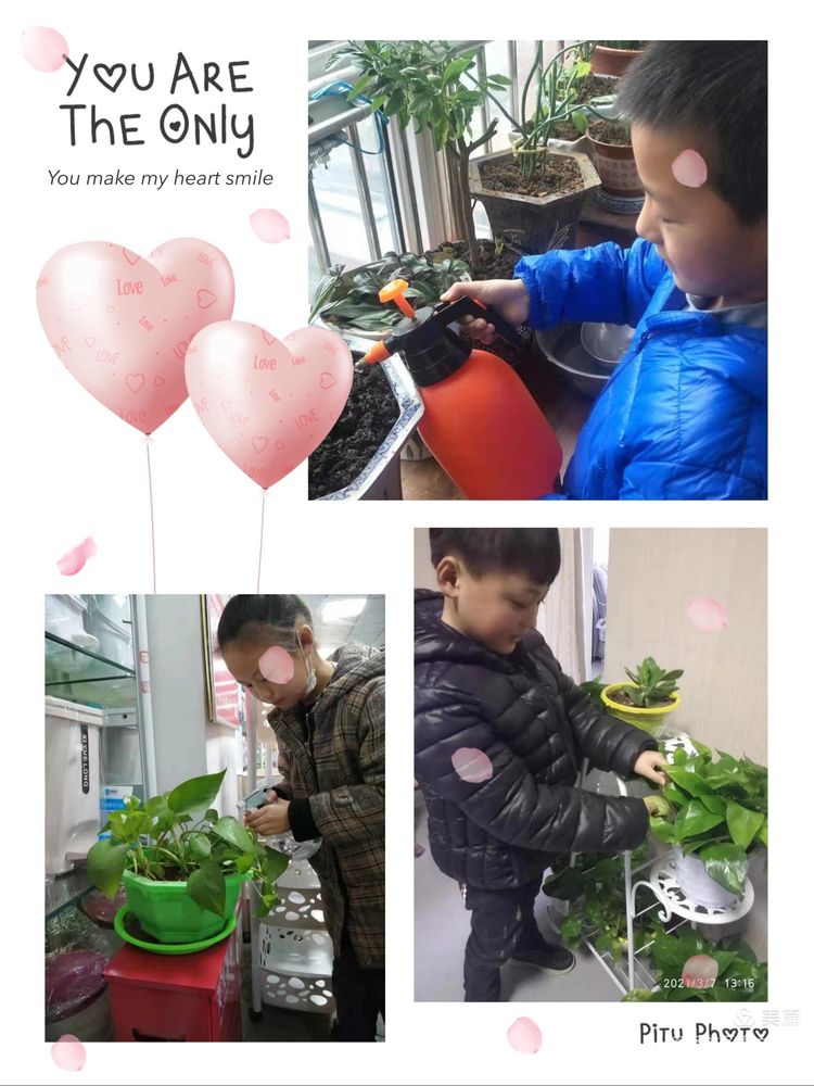 植树节拥抱春天播种绿色放飞希望,2022年植树节主题拥抱春天