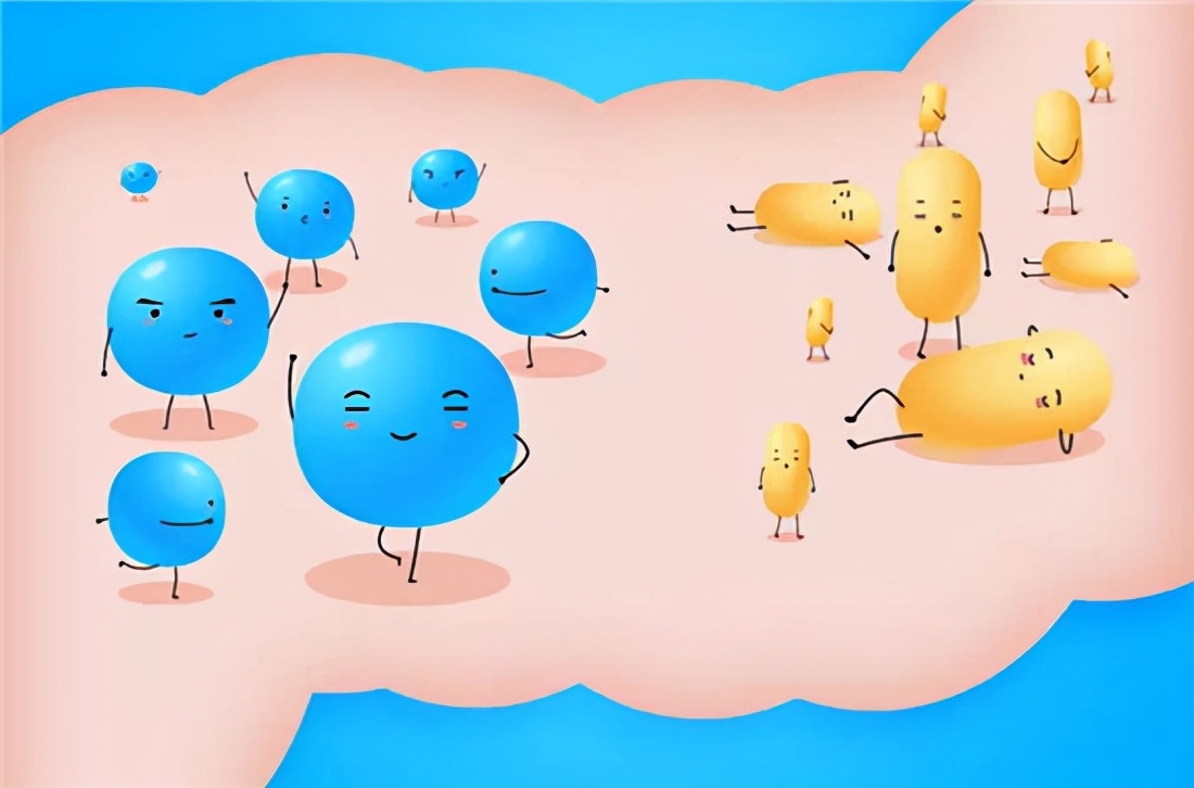 盘点“最娇气”的6种狗，耐心不够，建议别养